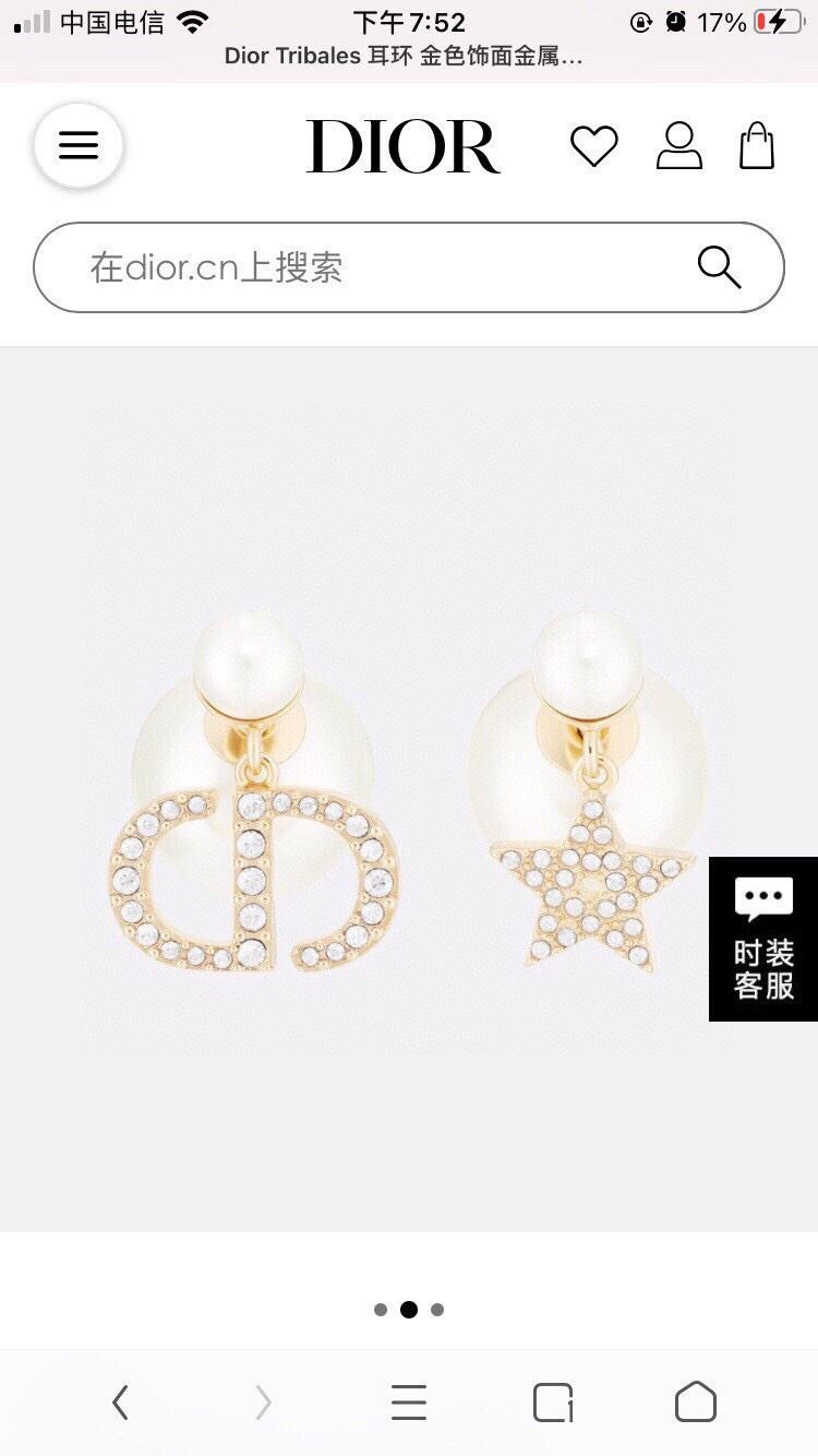 Christian Dior Earrings